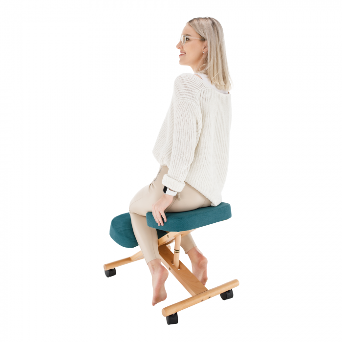 Scaun ergonomic, petrol/ fag, FLONET [20]