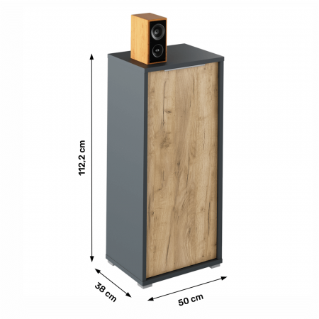 Dulap, grafit/stejar artisan, RIOMA NEW TYP 10 [1]