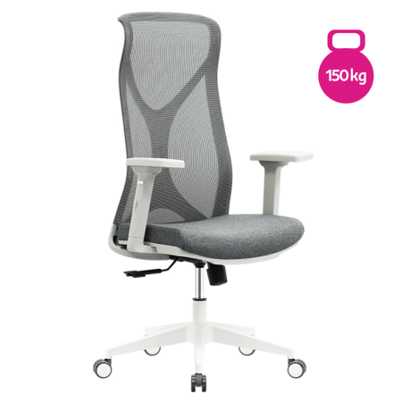 Mobilier Birou - Fotoliu de birou, gri/gri deschis, portanţă 150 kg, ARADIO
