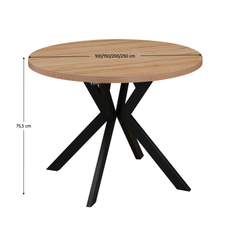 Masă extensibilă de sufragerie, stejar deschis/negru, 100-250x75,5 cm, LUKOS [10]