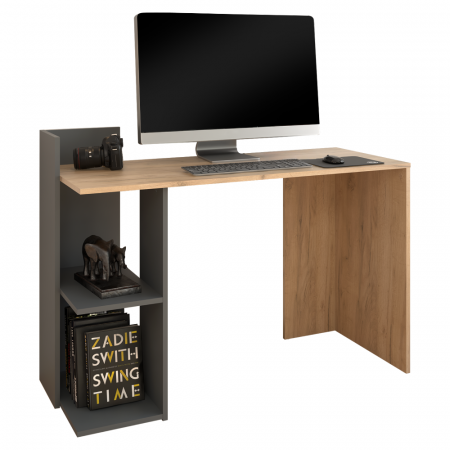 Birouri - Birou/Masă PC, stejar artisan/grafit,120 cm lungime , modern