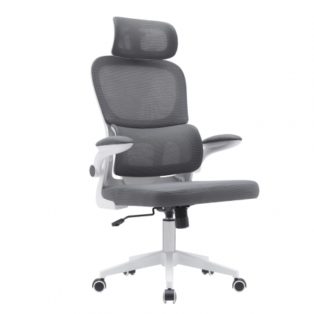 Mobilier Birou - Scaun de birou, gri închis / alb, RENARD