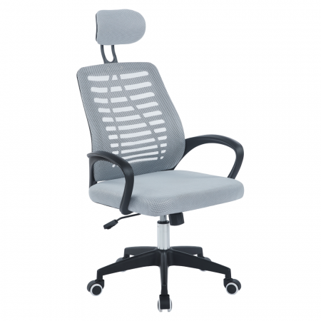 Mobilier Birou - Scaun de birou, gri/negru, EDRED