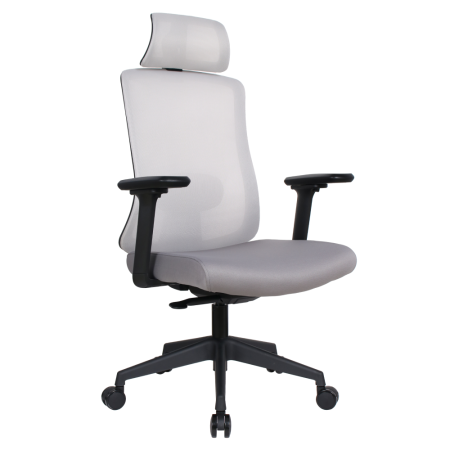 Mobilier Birou - Scaun de birou, gri/negru, ROSANO