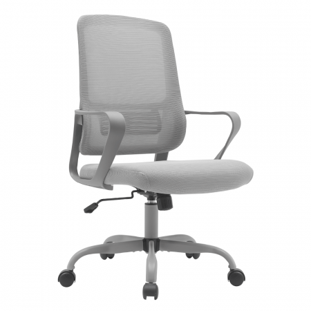 Mobilier Birou - Scaun de birou, gri, SALOMO TIP 2