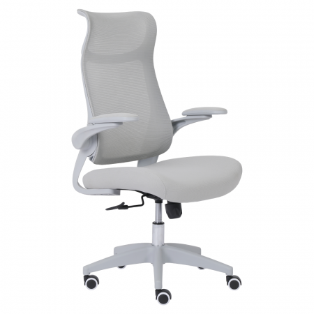 Mobilier Birou - Scaun de birou, gri, SETON