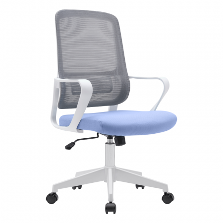 Mobilier Birou - Scaun de birou, neomint-albastru deschis/gri/alb, SALOMO TIP 1