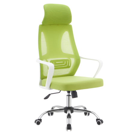 Mobilier Birou - Scaun de birou, verde/alb/crom, TAXIS 2 NEW