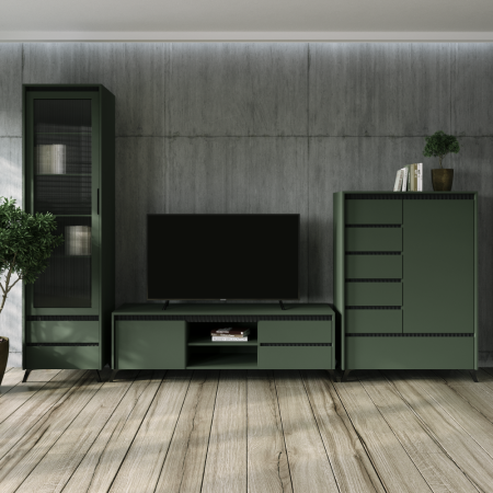 Vitrină, verde smoke/negru, LONGY REG1W [3]