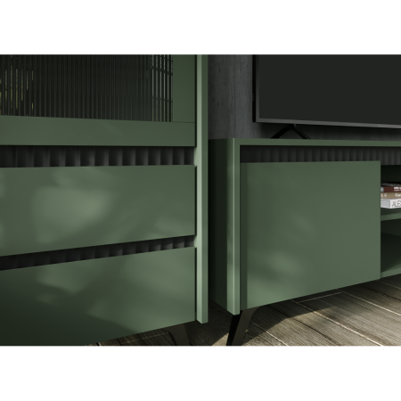 Vitrină, verde smoke/negru, LONGY REG1W2S [4]