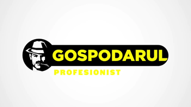 Gospodarul