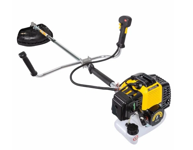 MOTOCOASA - GP550 - 52cc [2]