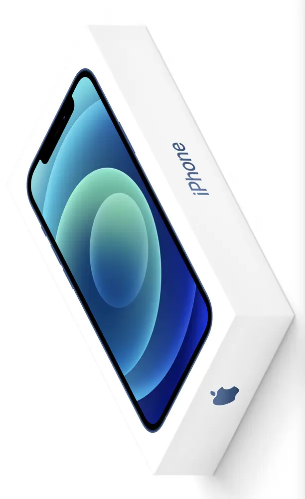 Cutii telefoane - Cutie goala pentru iPhone 11 originala