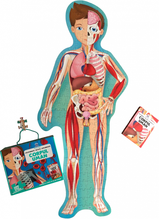 CALATORESTE, INVATA, EXPLOREAZA: CORPUL UMAN [2]