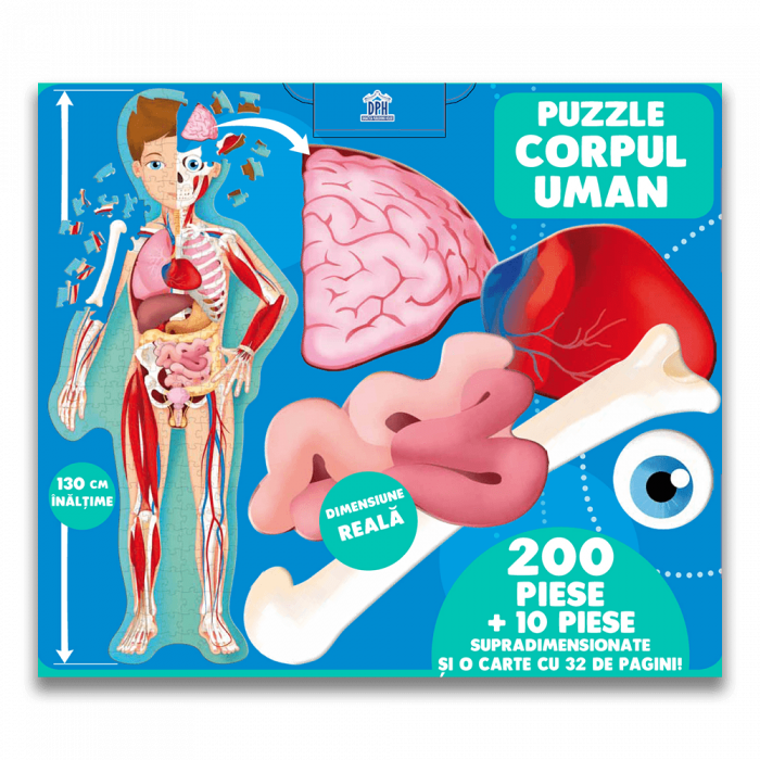 CALATORESTE, INVATA, EXPLOREAZA: CORPUL UMAN [5]