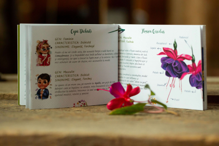 Flori, fete si baieti. Atlasul Botanic al Emotiilor [7]