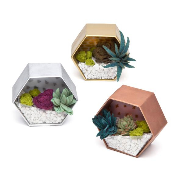 Set creativ - Mini Terrariums Kit [3]