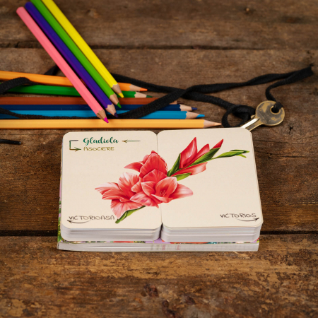 Flori, fete si baieti. Atlasul Botanic al Emotiilor [7]