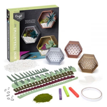 Set creativ - Mini Terrariums Kit [3]