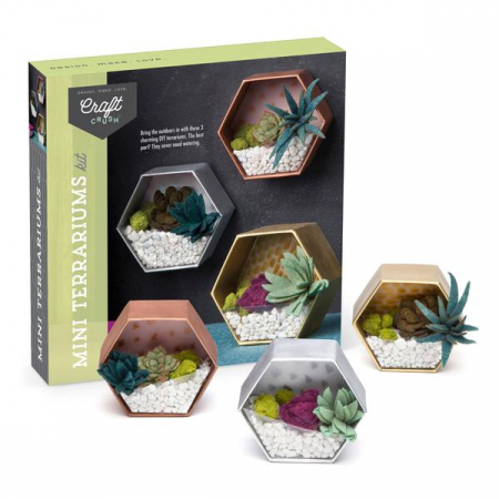 Set creativ - Mini Terrariums Kit [4]