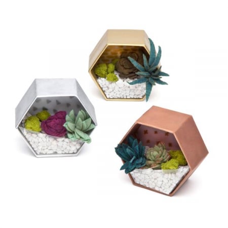 Set creativ - Mini Terrariums Kit [2]