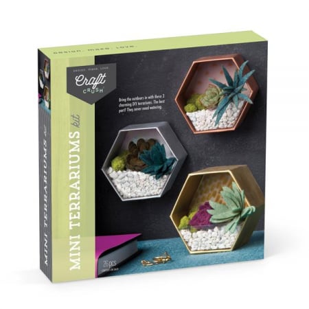 Set creativ - Mini Terrariums Kit [0]