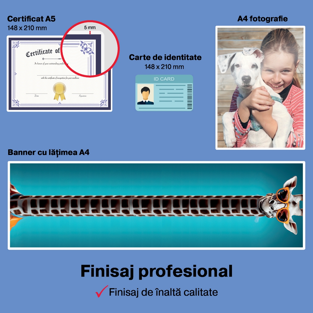 Finisaj profesional