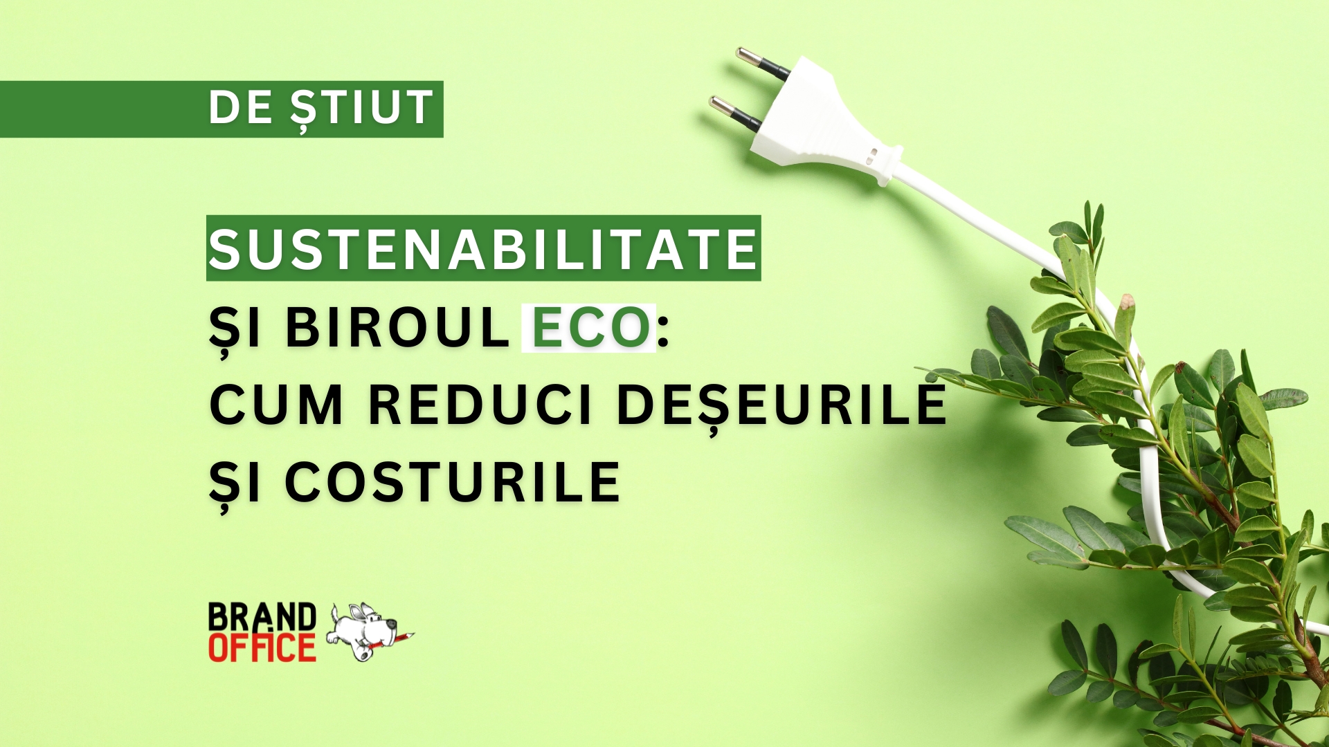 Sustenabilitate și biroul eco: cum reduci deșeurile și costurile în companie