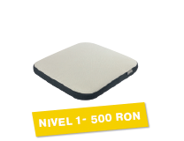 Premiu nivel 1 – 500 RON
