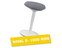Premiu nivel 2 – 1000 RON