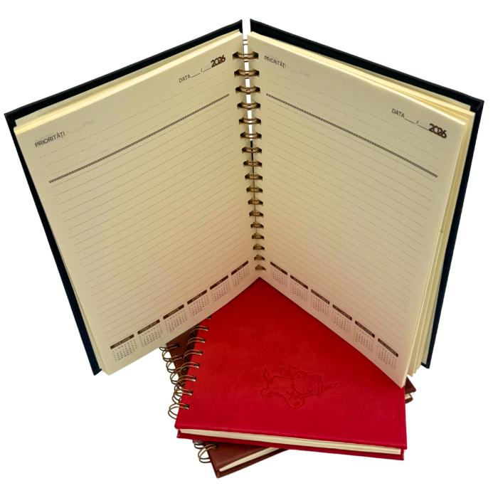 Agenda A5 AI Duplex – dictando + matematica, productie proprie in Unitate Protejata [4]