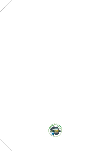 Agenda Ego Linea [4]