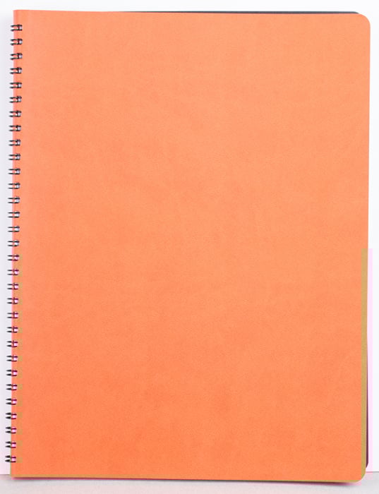 Agenda Ego Siena [1]