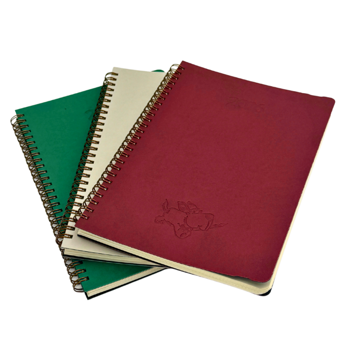 Agenda Duplex – dictando + matematica, productie proprie in Unitate Protejata [6]