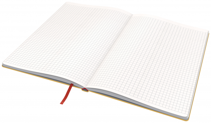 Caiet de birou Leitz Cosy, carton laminat, coperta dura, B5, 80 coli, matematica [3]