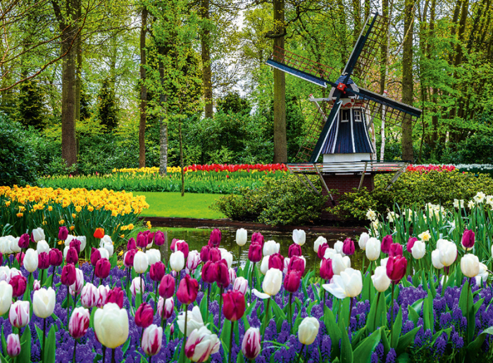 Calendar gradini 2024 [7]