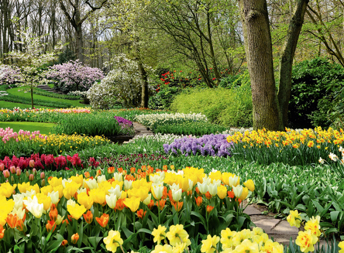 Calendar gradini 2024 [9]