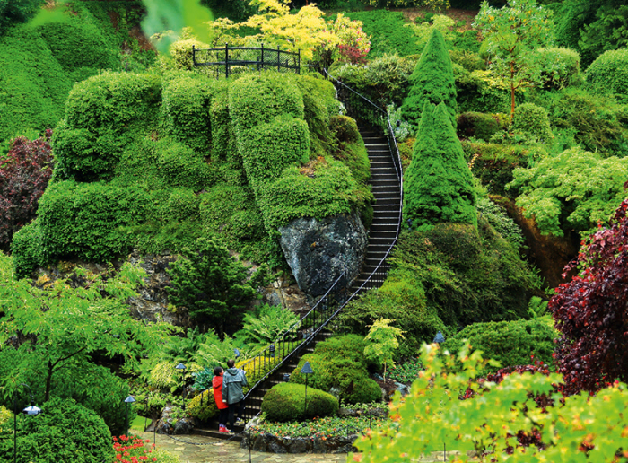 Calendar gradini 2024 [6]