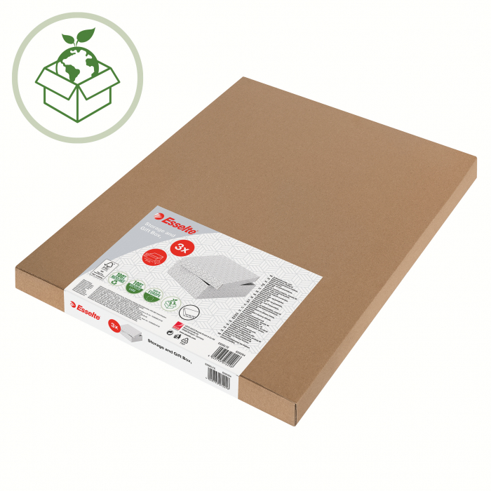 Cutie depozitare Esselte Home Recycled, M, carton, set 3 buc [3]