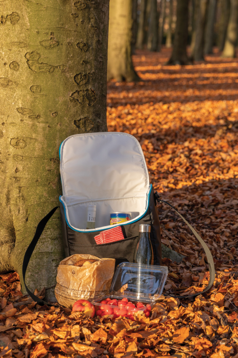 Geanta termoizolanta medie Explorer 17 l [10]