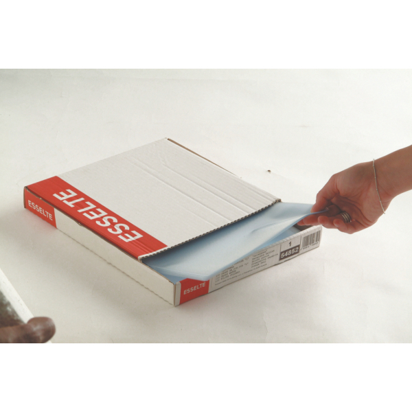 Folie protectie Esselte 35mic 100buc [3]