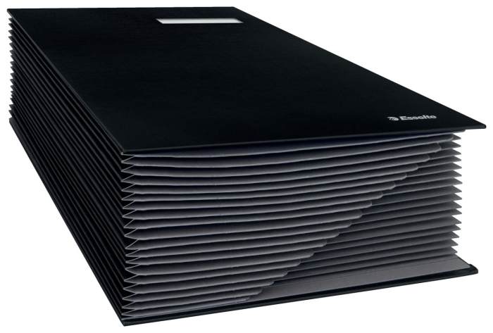 Mapa pentru semnaturi A4 cu 20 separatoare negru Esselte [4]