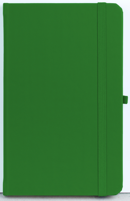 P-NBPRO13-CV10.jpg [1]