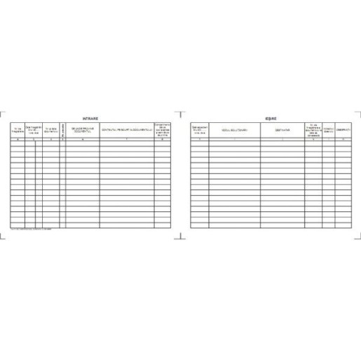 Registru intrare-iesire A4, 100file, print f/v [2]