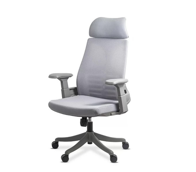 Scaun de birou ergonomic din mesh, cu tetiera si suport lombar [2]
