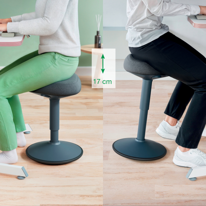 Scaun Ergonomic Leitz Ergo – Pozitie Sezut/In Picioare, Inaltime Reglabila, Gri-Pastel si Gri-Carbune [14]