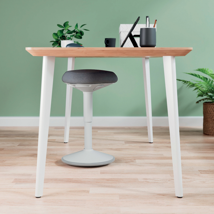 Scaun Ergonomic Leitz Ergo – Pozitie Sezut/In Picioare, Inaltime Reglabila, Gri-Pastel si Gri-Carbune [7]