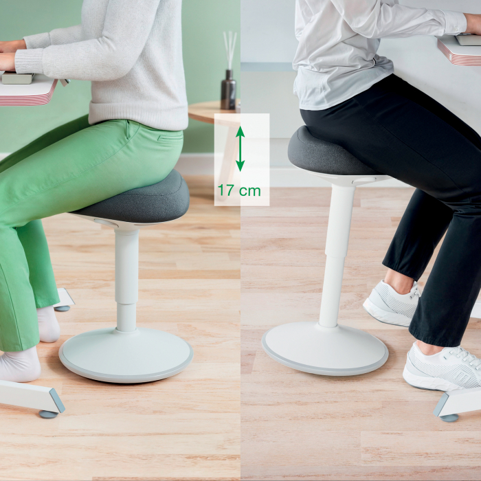 Scaun Ergonomic Leitz Ergo – Pozitie Sezut/In Picioare, Inaltime Reglabila, Gri-Pastel si Gri-Carbune [3]