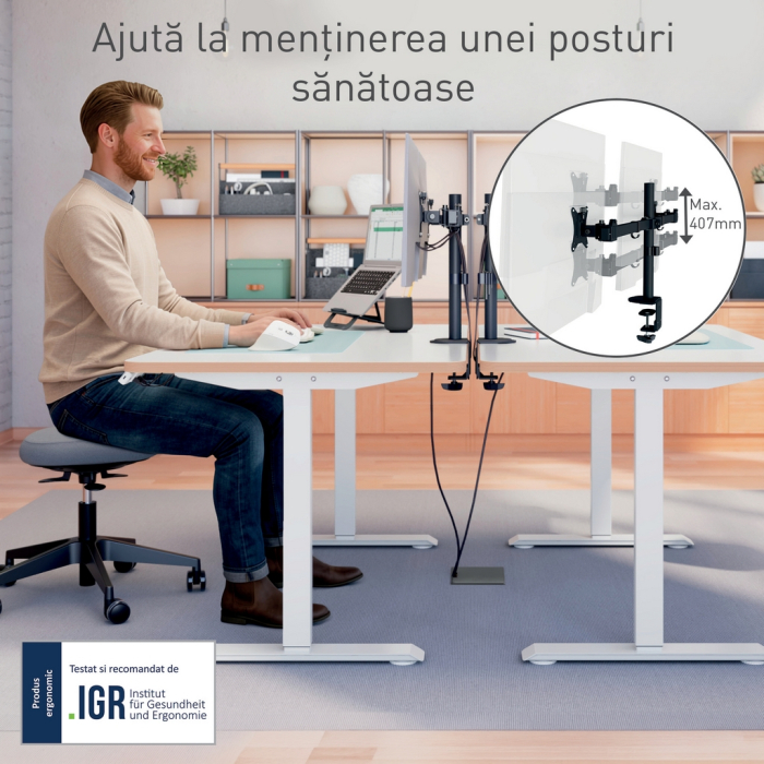 Suport pentru monitor Leitz Ergo, 2 brate ajustabile, cu fixare pe birou, gri-carbune [8]
