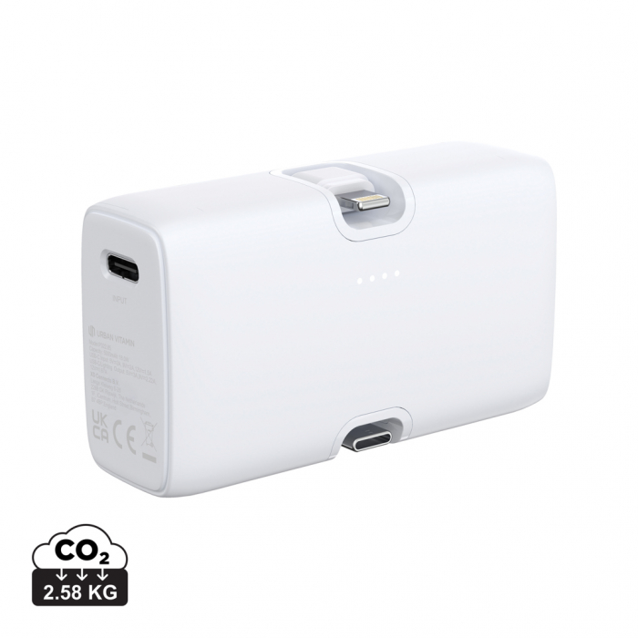 Powerbank 5000 mAh 20W PD dual output, Urban Vitamin Los Angeles [1]